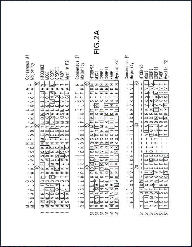 Sample Bio2 Lg