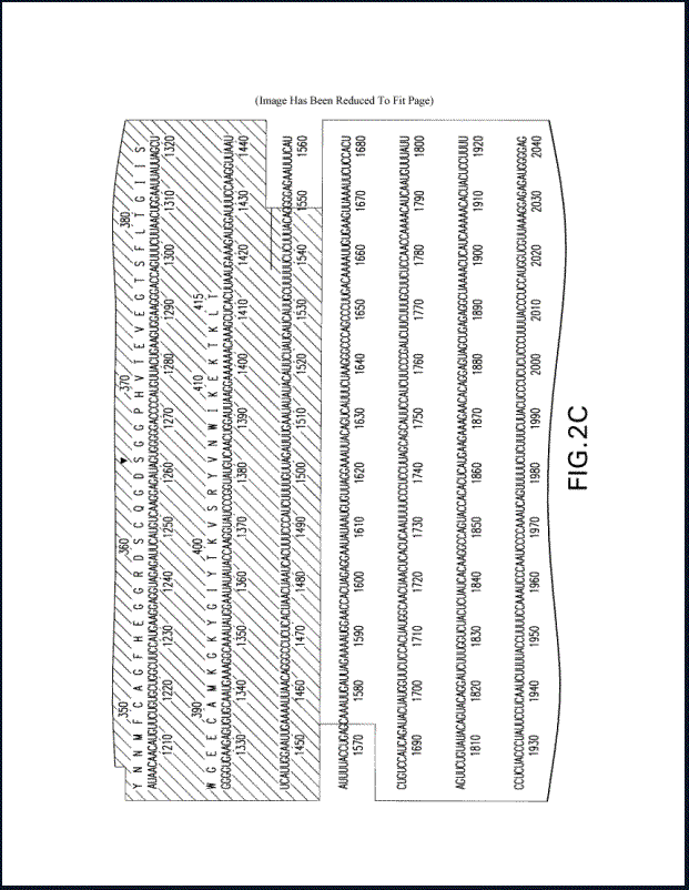 Sample Bio3 Lg