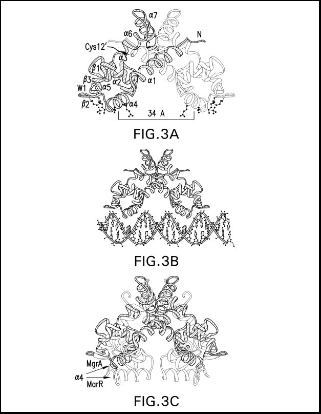 Sample Bio4lg