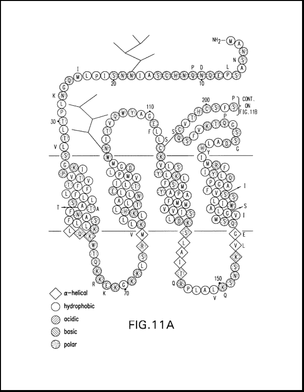 Sample Bio6 Lg